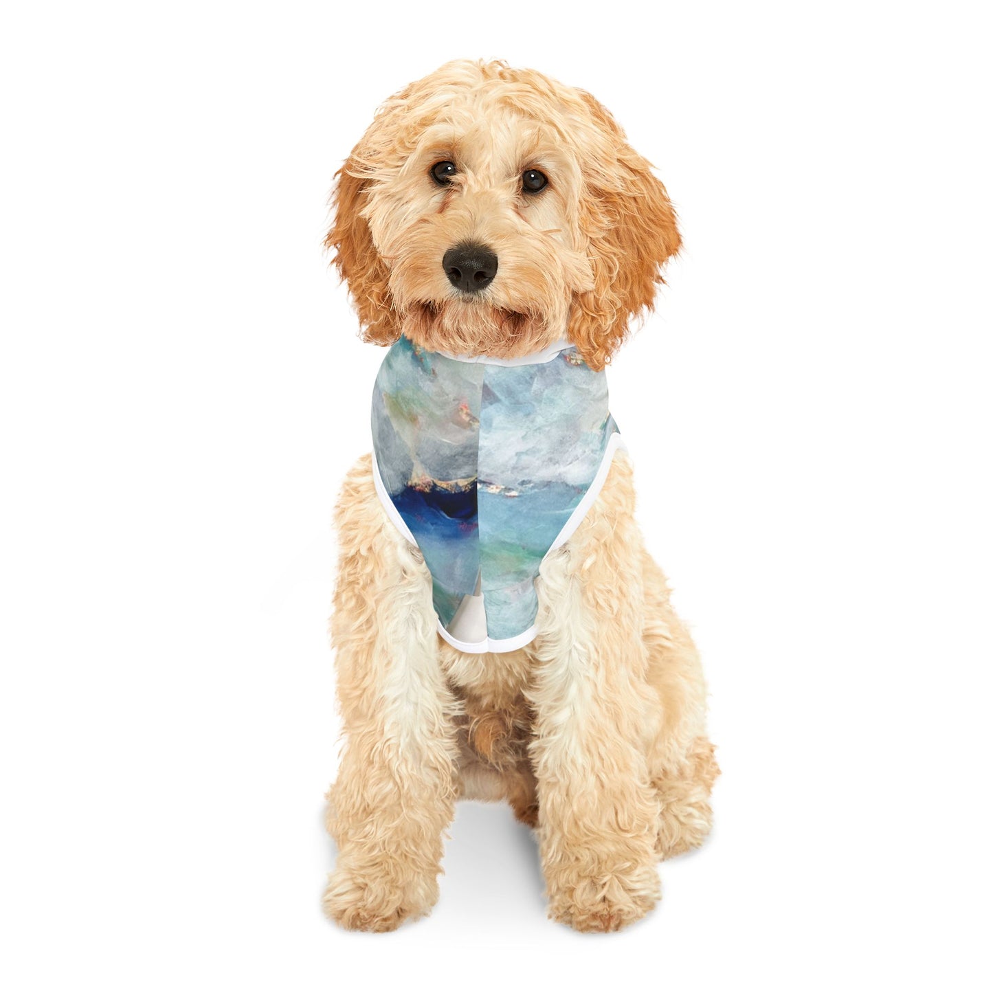 Pet Hoodie