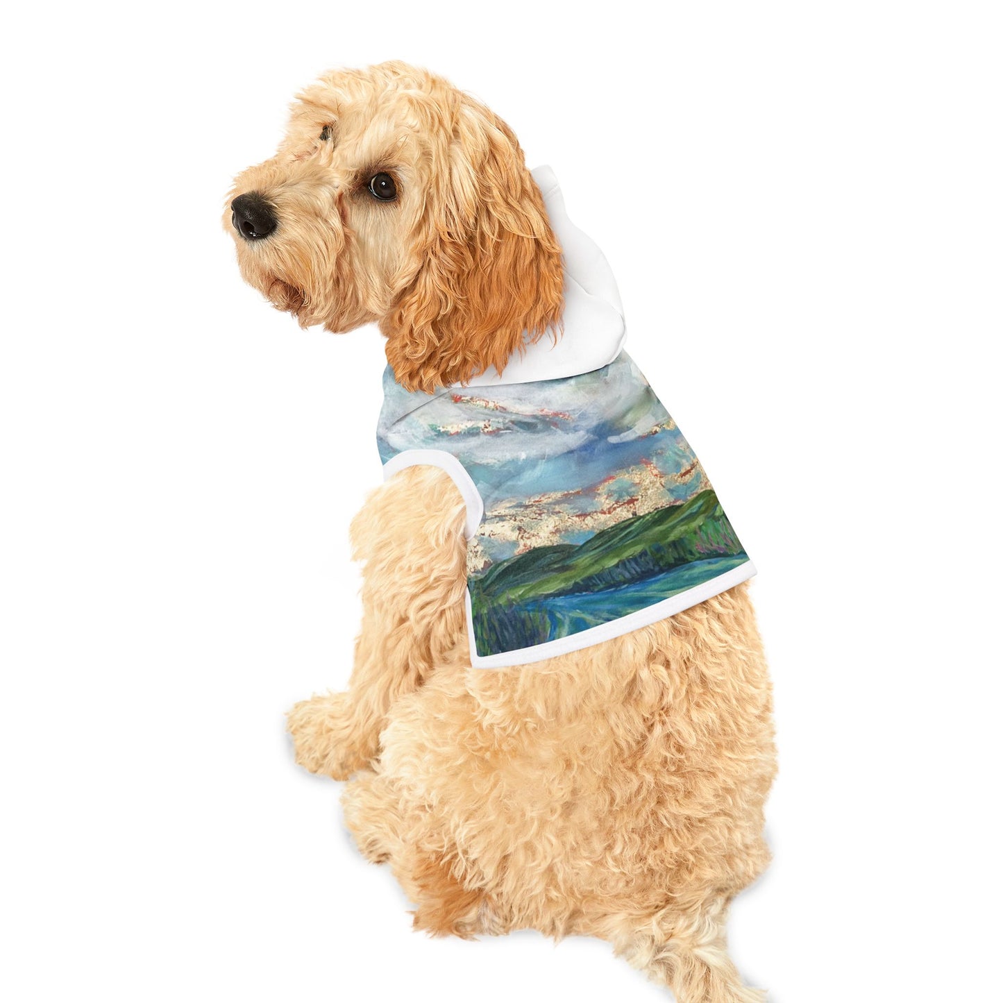 Pet Hoodie