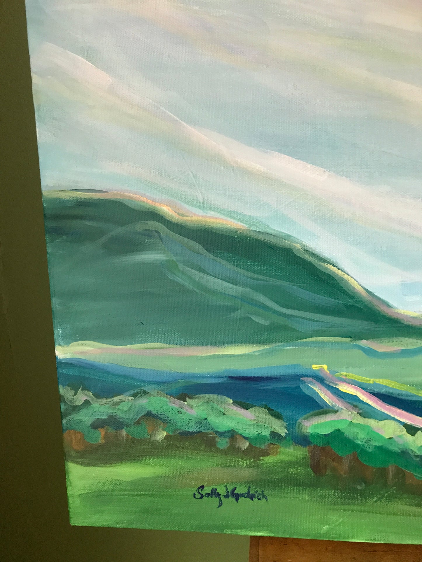 40” x 16”
Blue Ridge Mountains Landscape Painting
Acrylic on Gallery Wrapped Canvas
free shipping
The Blue Ridge Mountains have a special place in my heart. I grew up here. We spent our family vacations in the mountains of Asheville NC. Growing up I taught tennis in summer camps in Grundy, VA and White Sulphur Springs, WV. Over every ridge is another stunning view. Every morning, afternoon and evening brings a sky with colors you wouldn't believe. Everyone who l