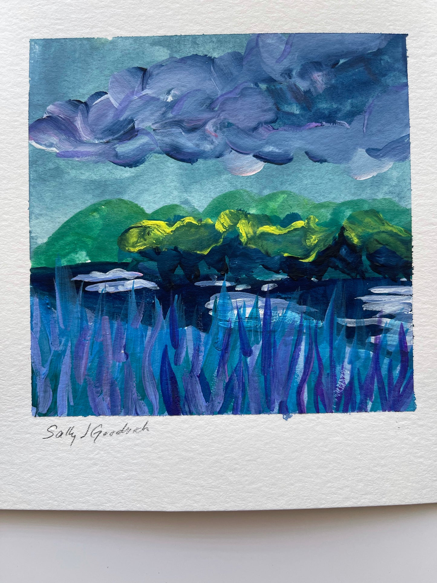 6x6-sally-j-goodrich-the-best-stuff-water-painting