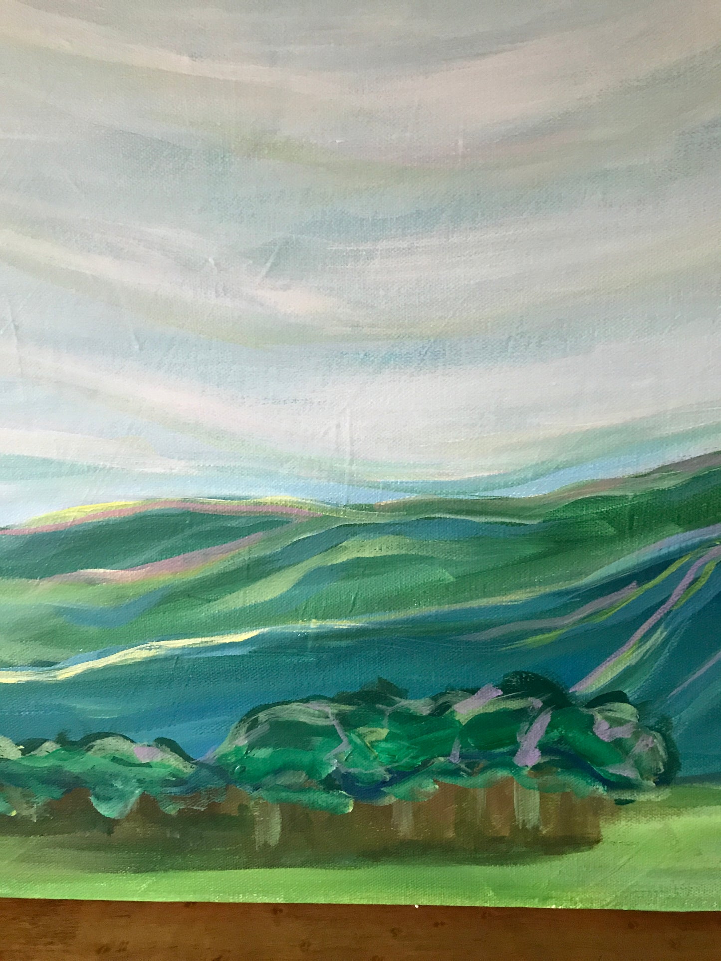 40” x 16”
Blue Ridge Mountains Landscape Painting
Acrylic on Gallery Wrapped Canvas
free shipping
The Blue Ridge Mountains have a special place in my heart. I grew up here. We spent our family vacations in the mountains of Asheville NC. Growing up I taught tennis in summer camps in Grundy, VA and White Sulphur Springs, WV. Over every ridge is another stunning view. Every morning, afternoon and evening brings a sky with colors you wouldn't believe. Everyone who l