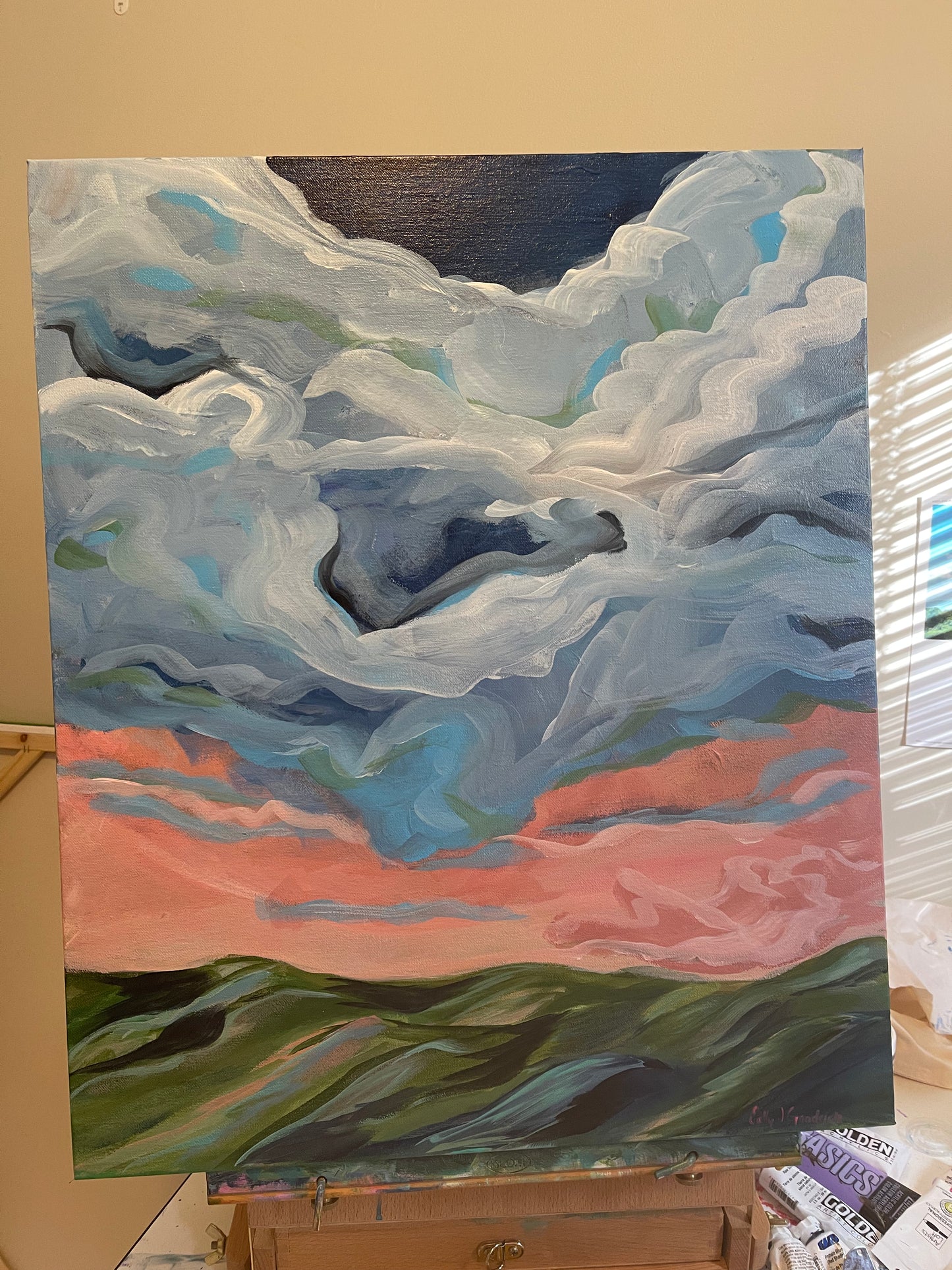 20" x 24" x 1.5"
Acrylic on Gallery Wrapped Canvas
Gorgeous and dramatic clouds fill the pink morning sky over the Blue Ridge mountains.
Finished with a varnish to protect against dust and light.
Wired and ready for hanging.