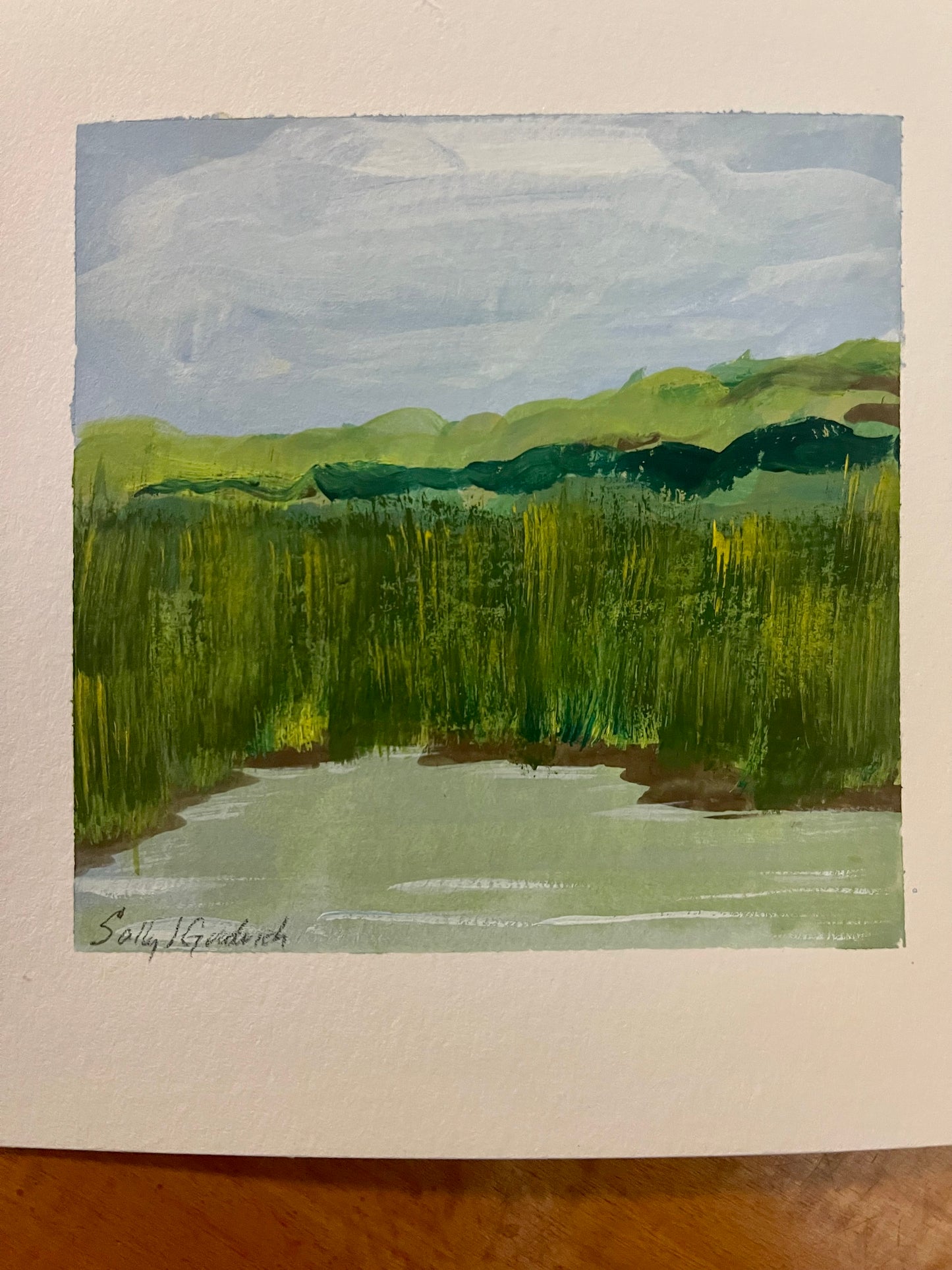 Virginia Summer