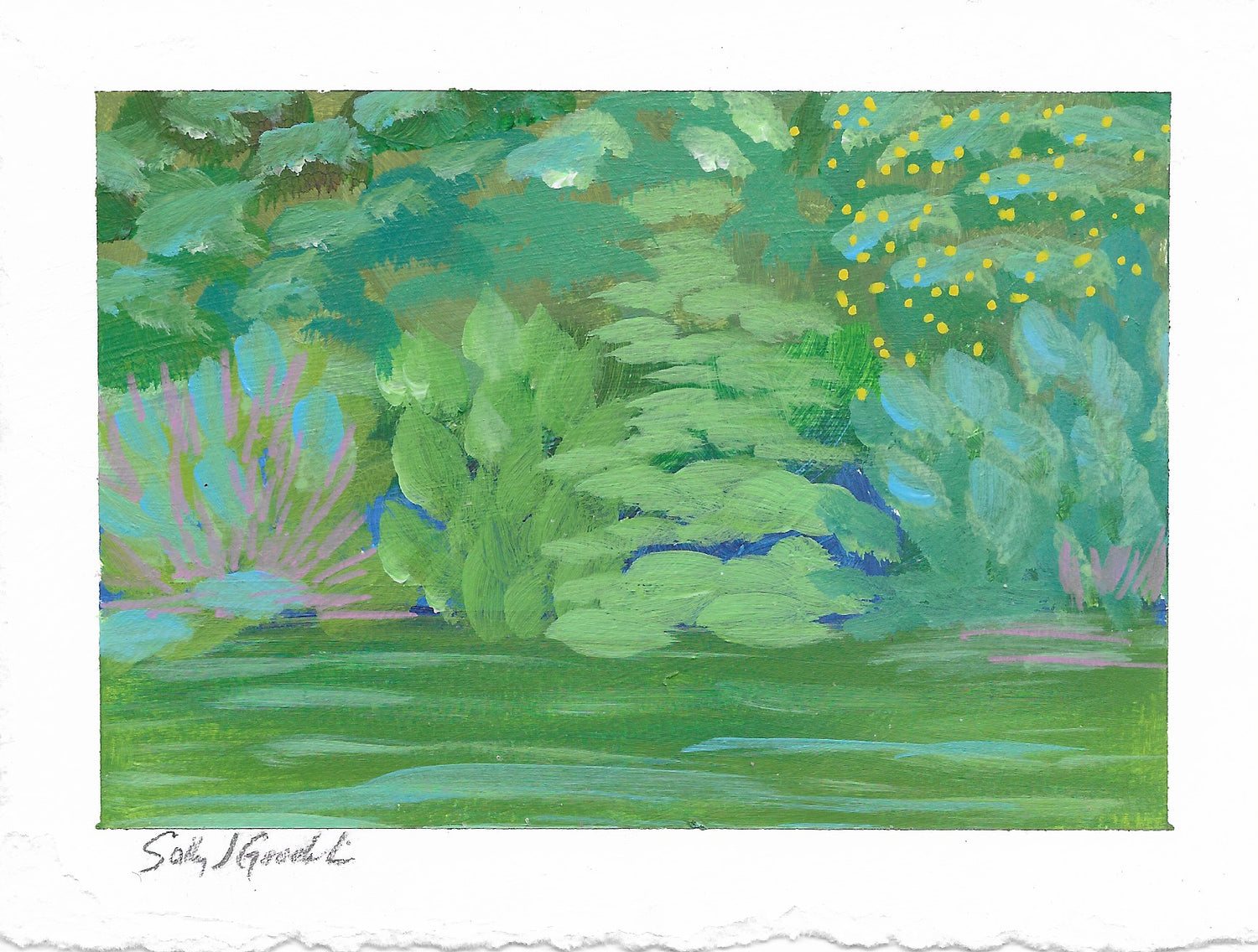 a painting a day practice
