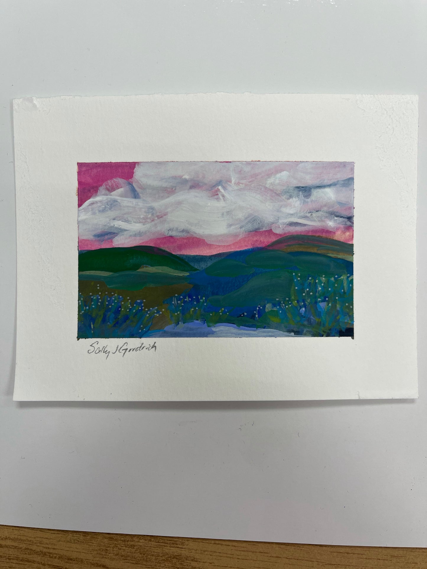 6x4.5-sally-j-goodrich-first-look-mountain-paintings